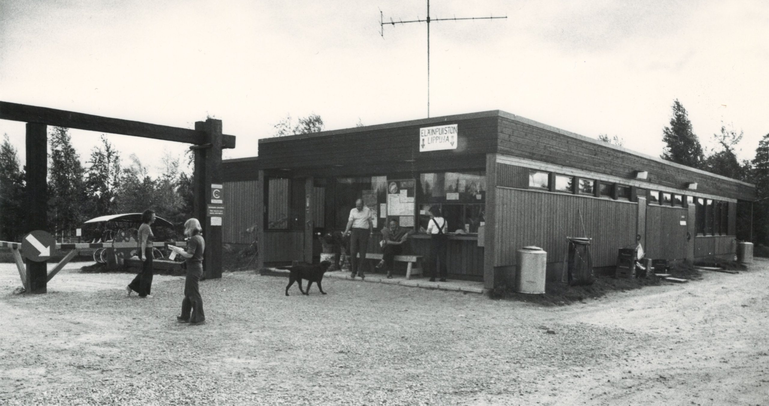 Elinpuisto 70 luku paperikuvia 5