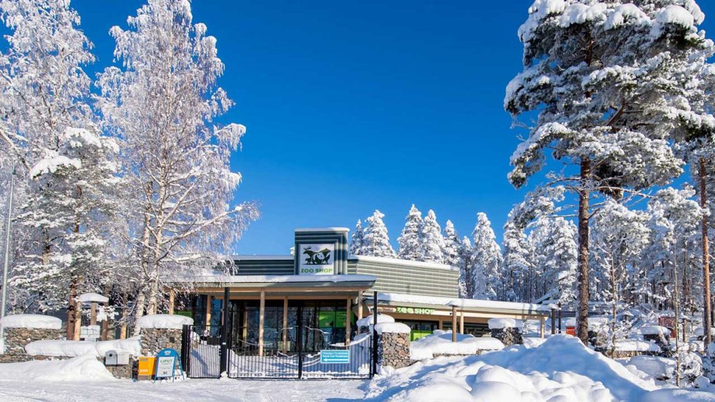 ahtarizoo portti talvi